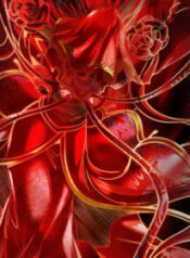 ta-mo-cho-den-tai-di-gioi