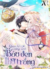 moi-lien-ket-giua-bao-den-va-be-tho